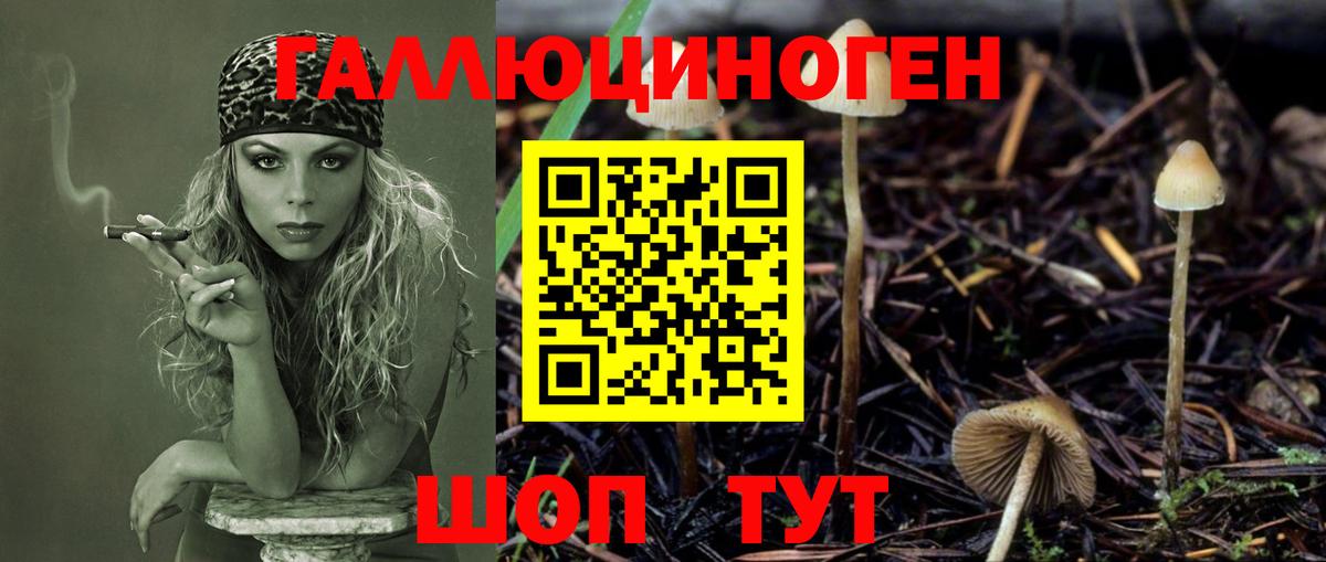 Галлюциногенные грибы GOLDEN TEACHER Норильск