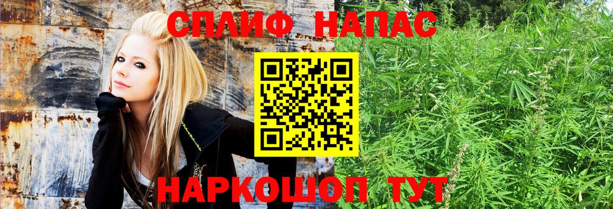 Конопля Ganja Норильск